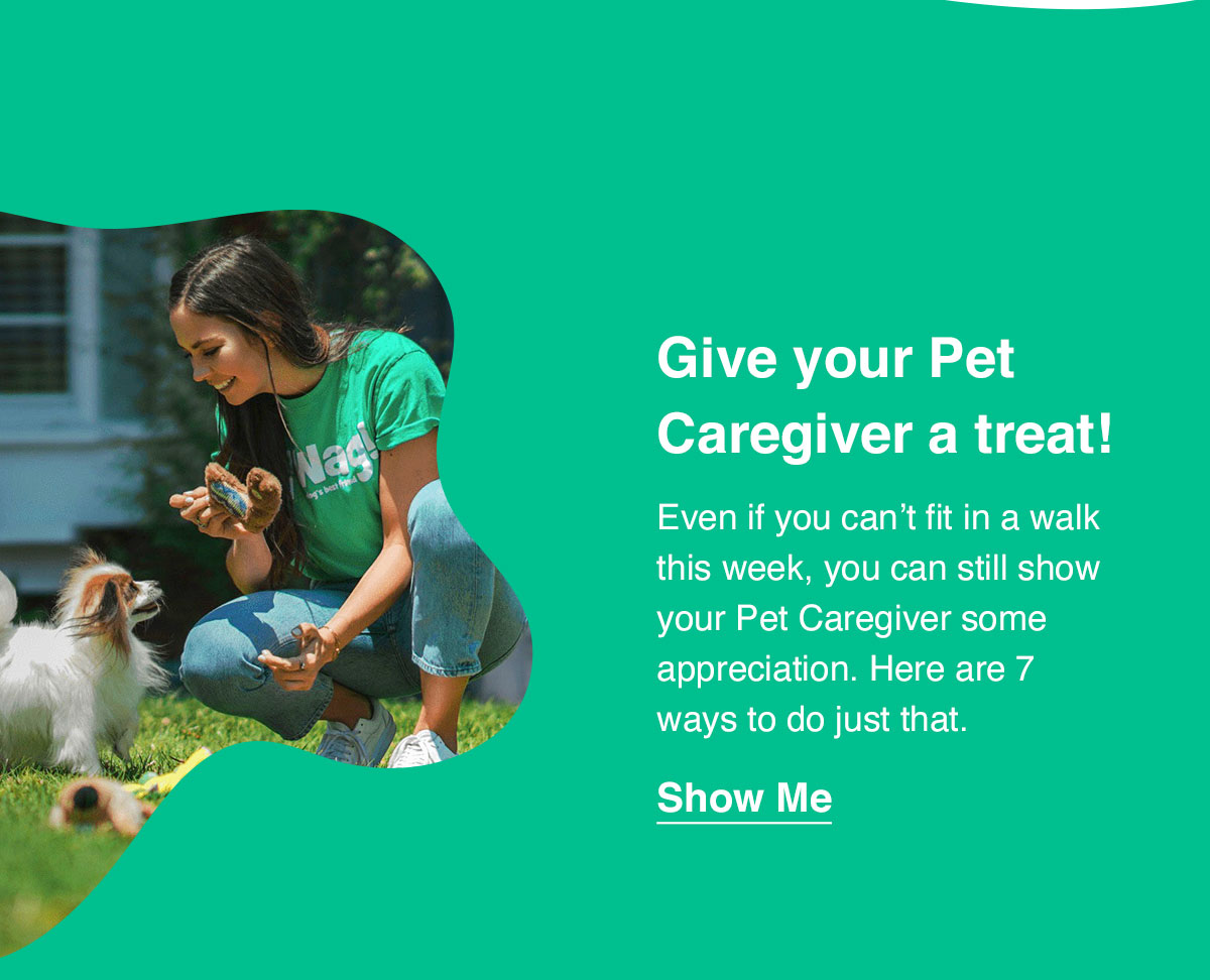 Today, We Celebrate Pet Caregivers! 🥰🐶🎉 Wag! Dog Walking App